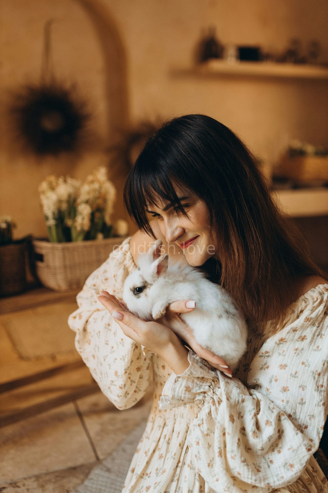 Hero Animal Care