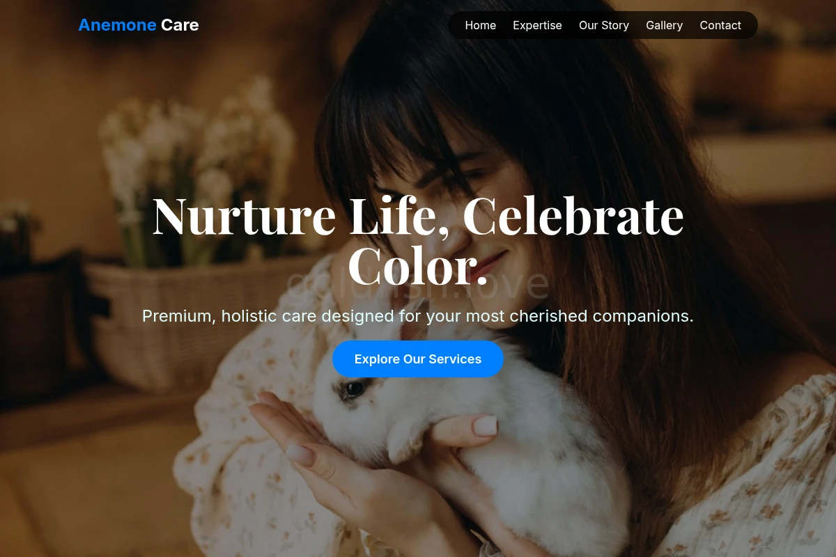 Anemone Animal Care