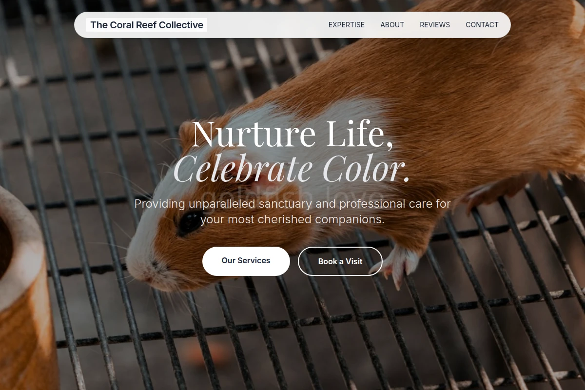 Gravel Animal Care