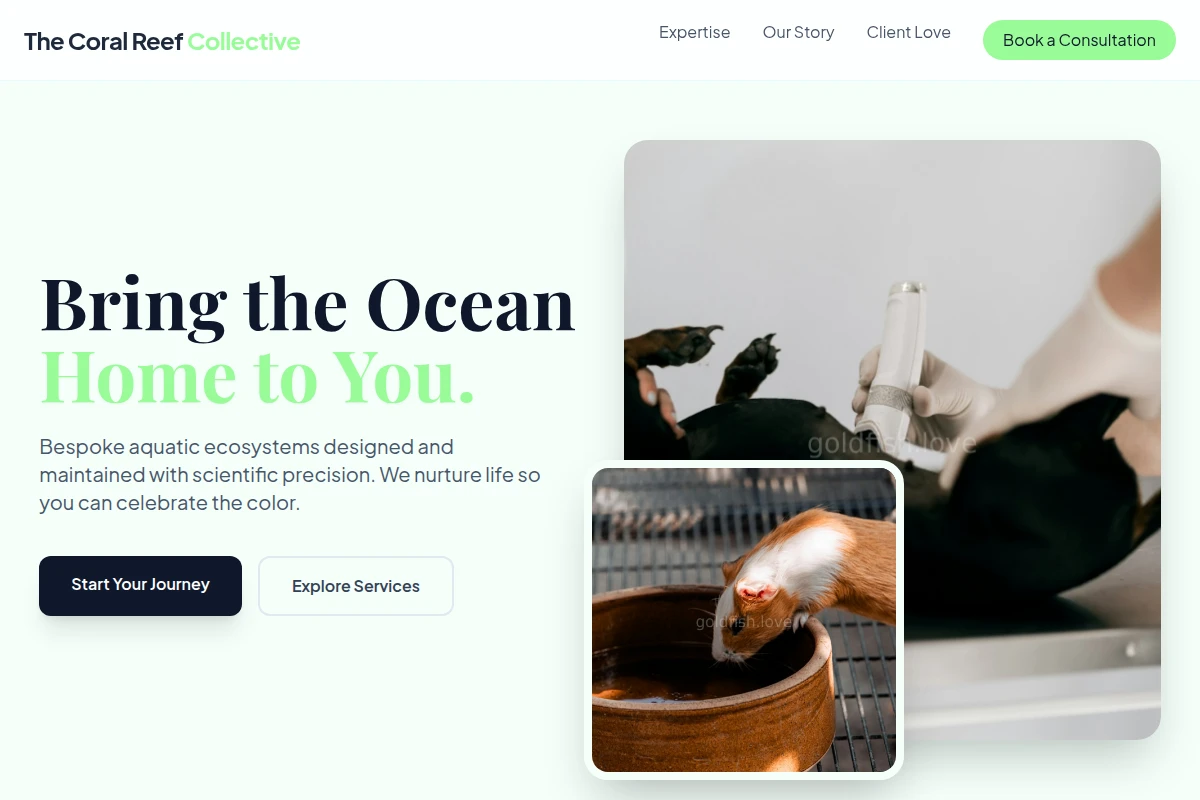 Aquatic Animal Care