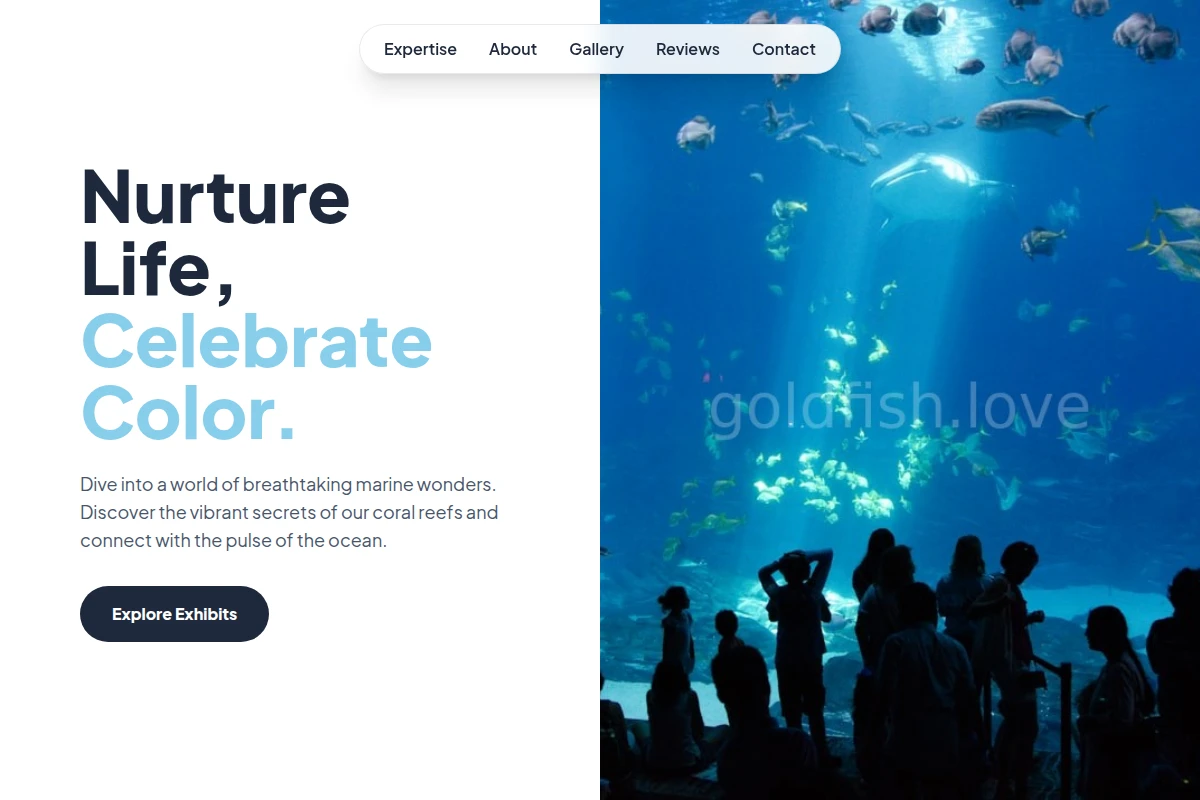 Ocean Aquarium