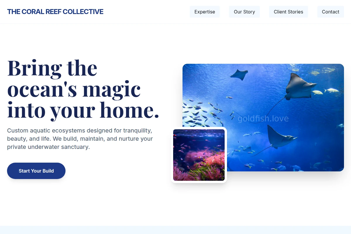 Flow Aquarium