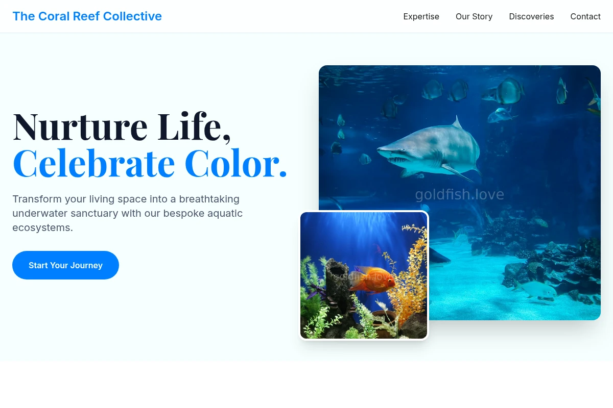 Wave Aquarium