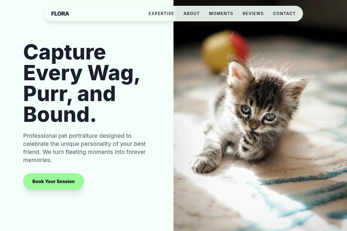Flora Pet Photography