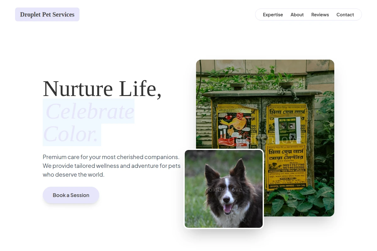 Droplet Pet Services