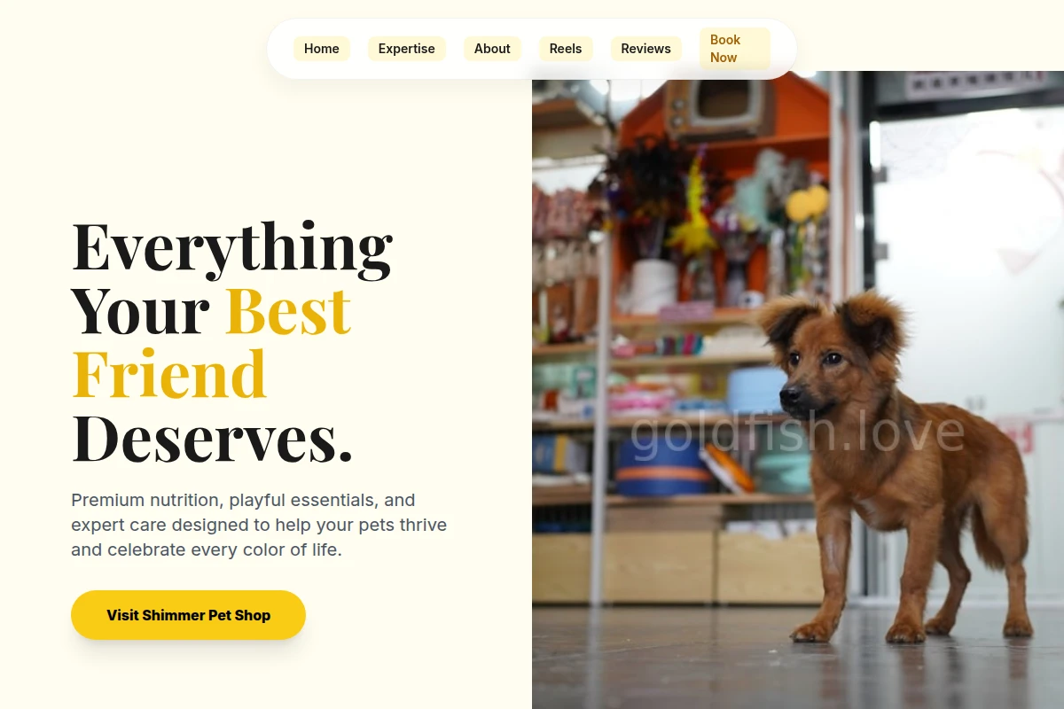 Shimmer Pet Shop
